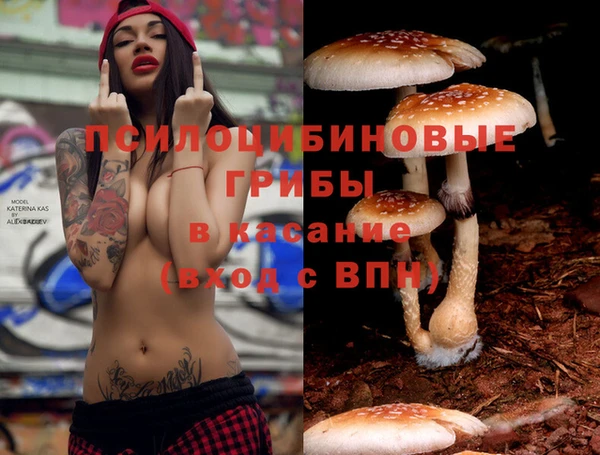 твердый Абдулино