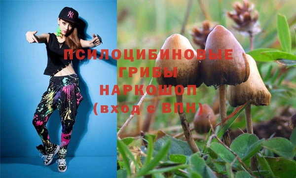 сатива Мегион