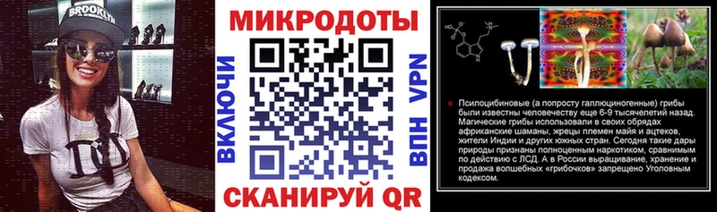 Галлюциногенные грибы Psilocybe Братск
